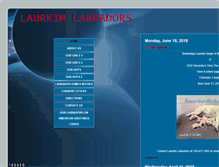 Tablet Screenshot of laurkimlab.com